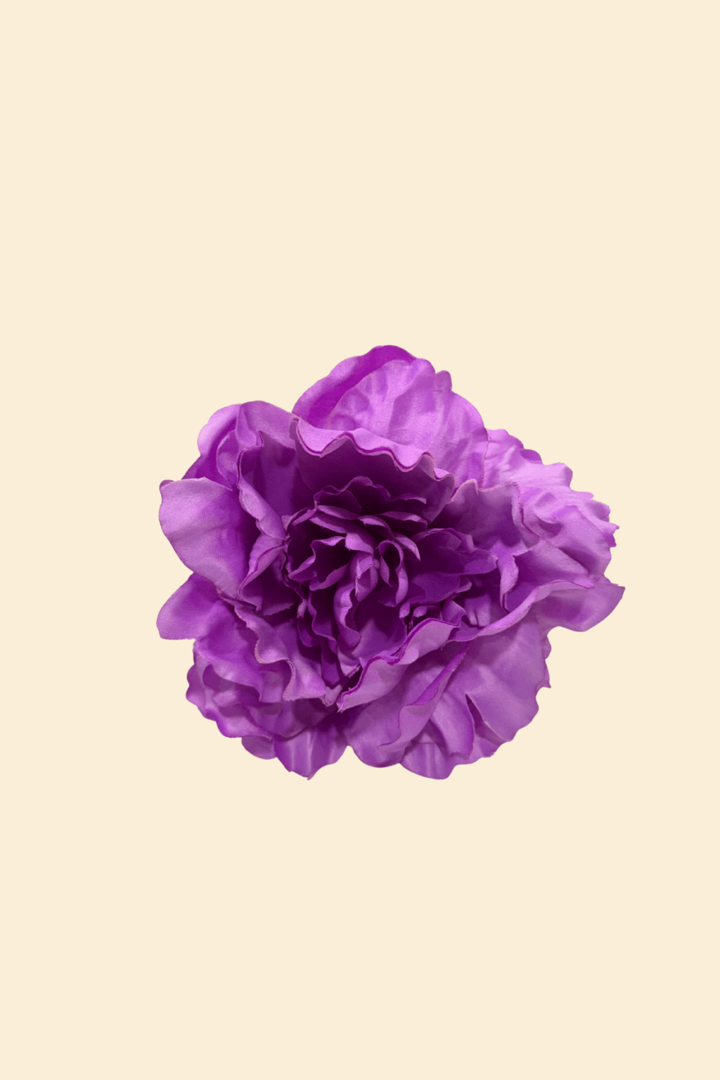 Peonia Grande Lila